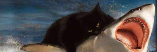 David Rodriguez banner