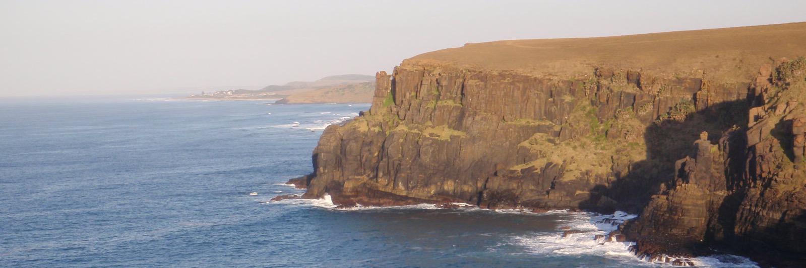 Marc Rius - Ecology & Evolution Lab banner