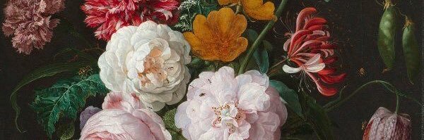 caseyrae_11's profile banner image