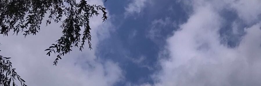 Video_92's profile banner image