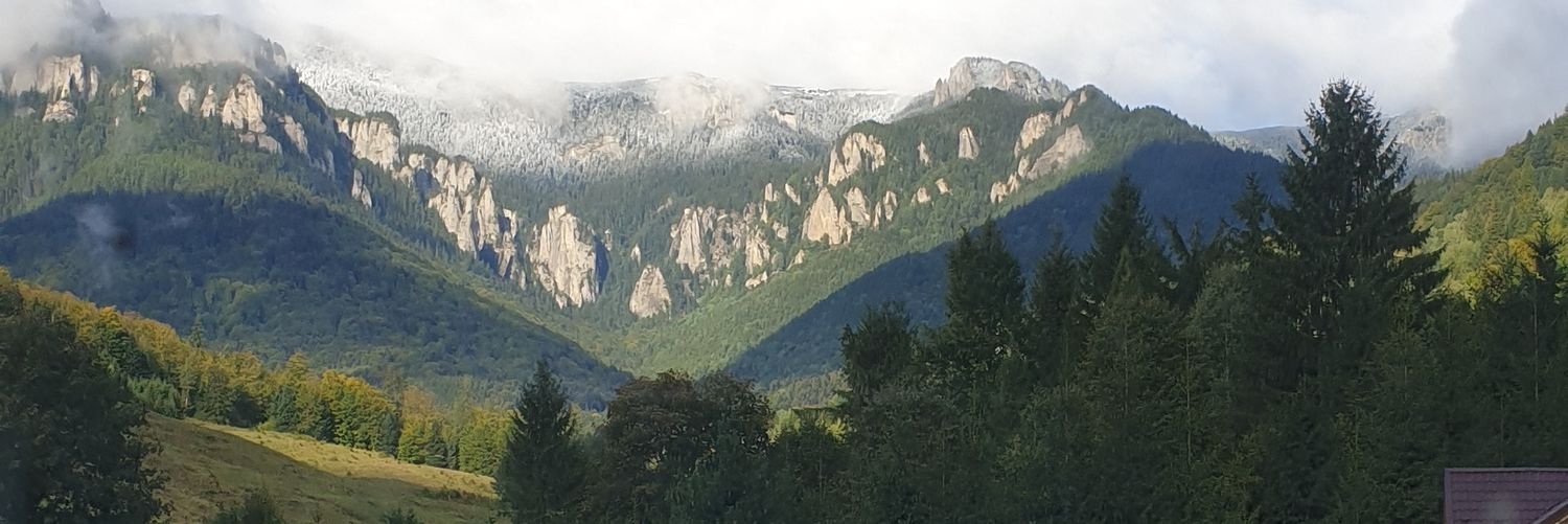 felycris2's profile banner image
