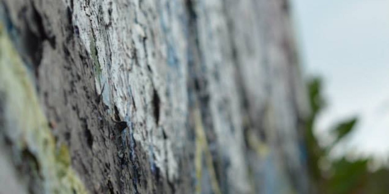 MSammy16's profile banner image