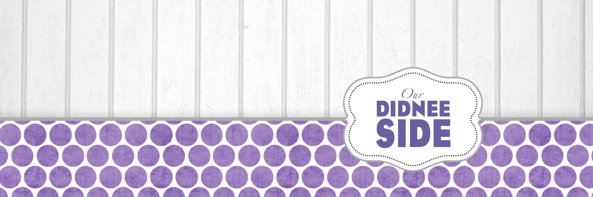 OurDidneeSide's profile banner image