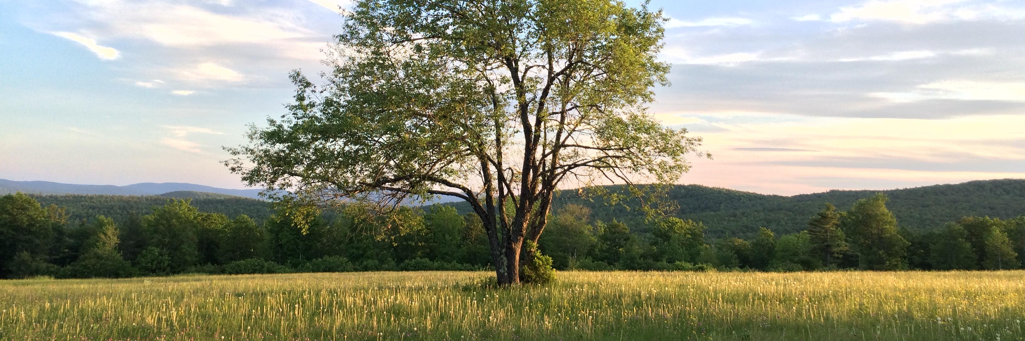 Dr. Fred Welch banner