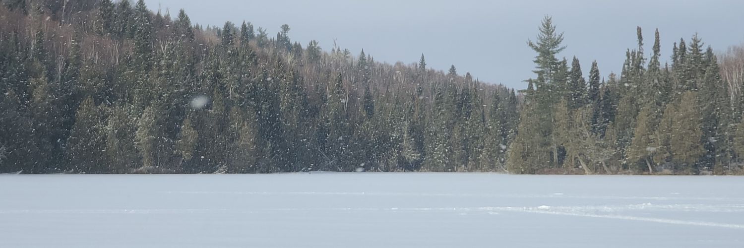 Scottsache's profile banner image