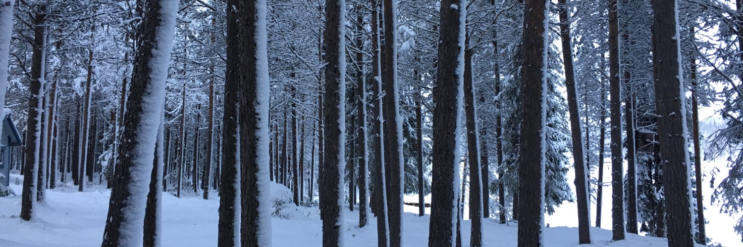 ArranRice's profile banner image