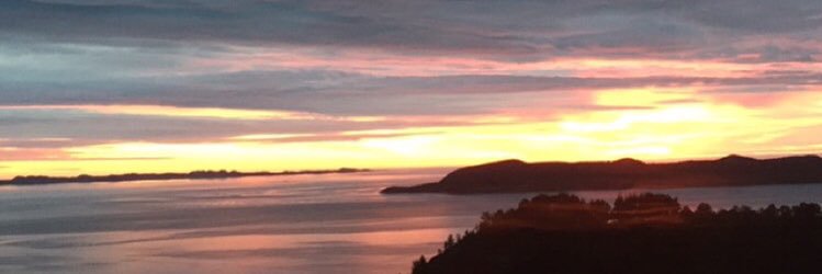 Lillian Blomli banner