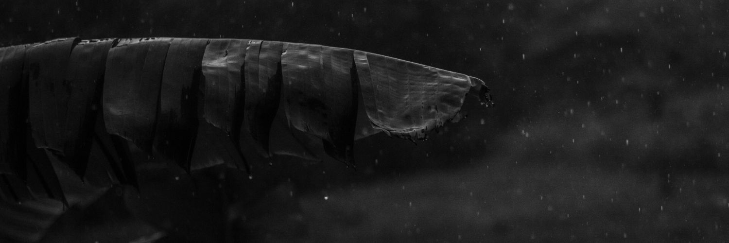 freitas_iago's profile banner image