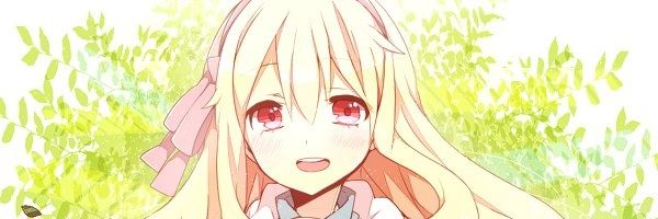 WILBELLVOLL1's profile banner image
