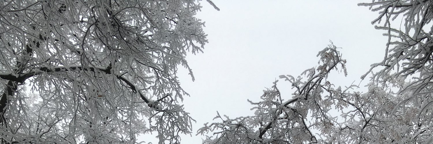 ПаннаКотя banner