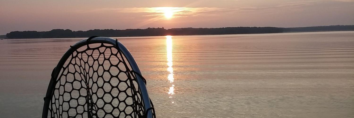 fishlipps1's profile banner image