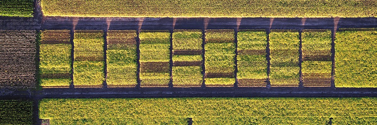 Pablo Angelotti banner