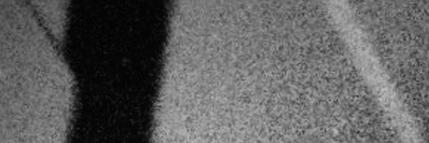 camer0nvincent's profile banner image