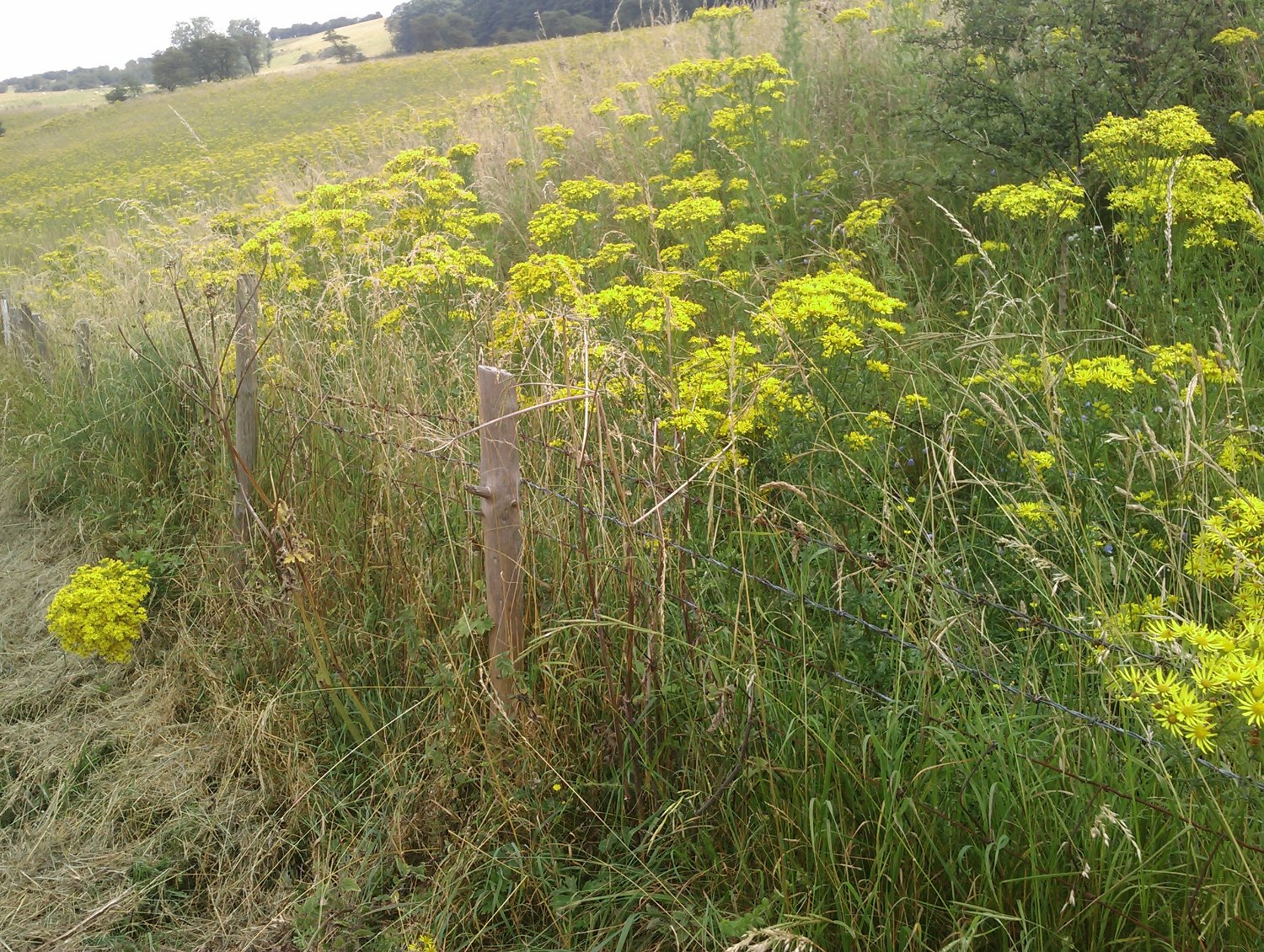 ClarksonsFarm banner
