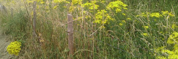 ClarksonsFarm Profile Banner