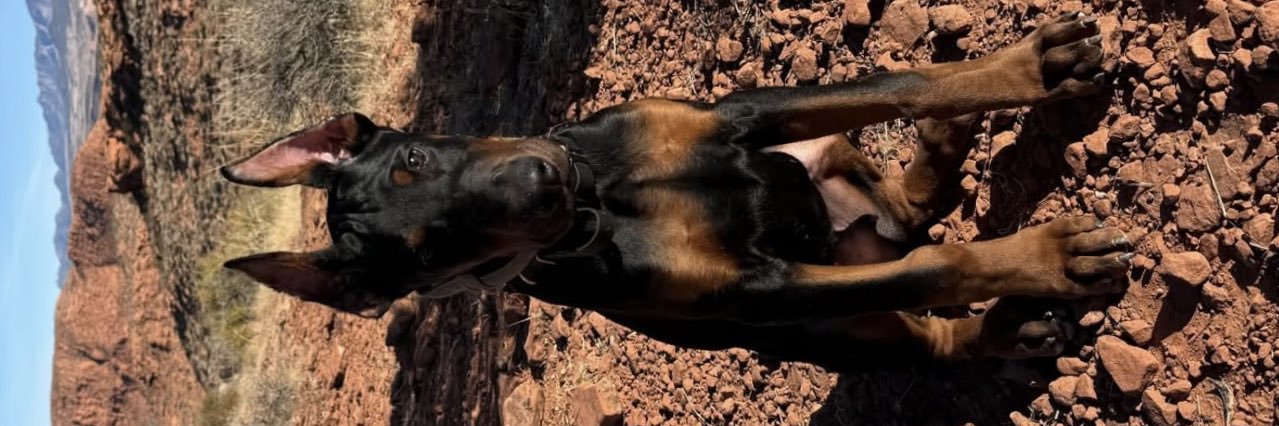 vegathompson__'s profile banner image