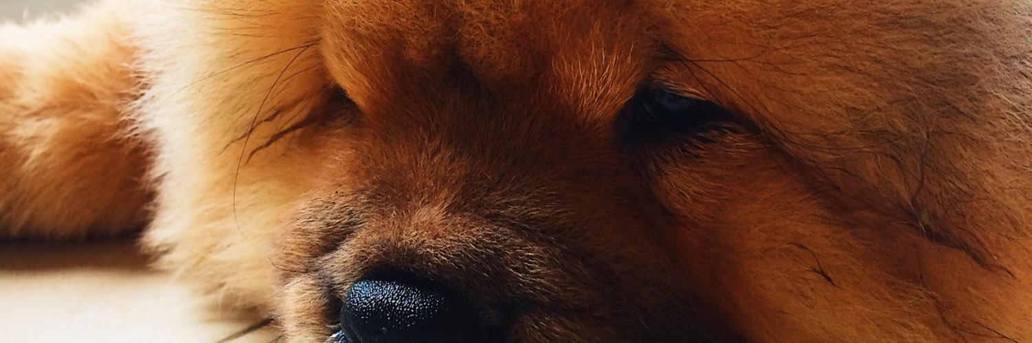 imjctapay's profile banner image
