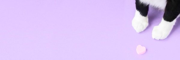 elr7s Profile Banner