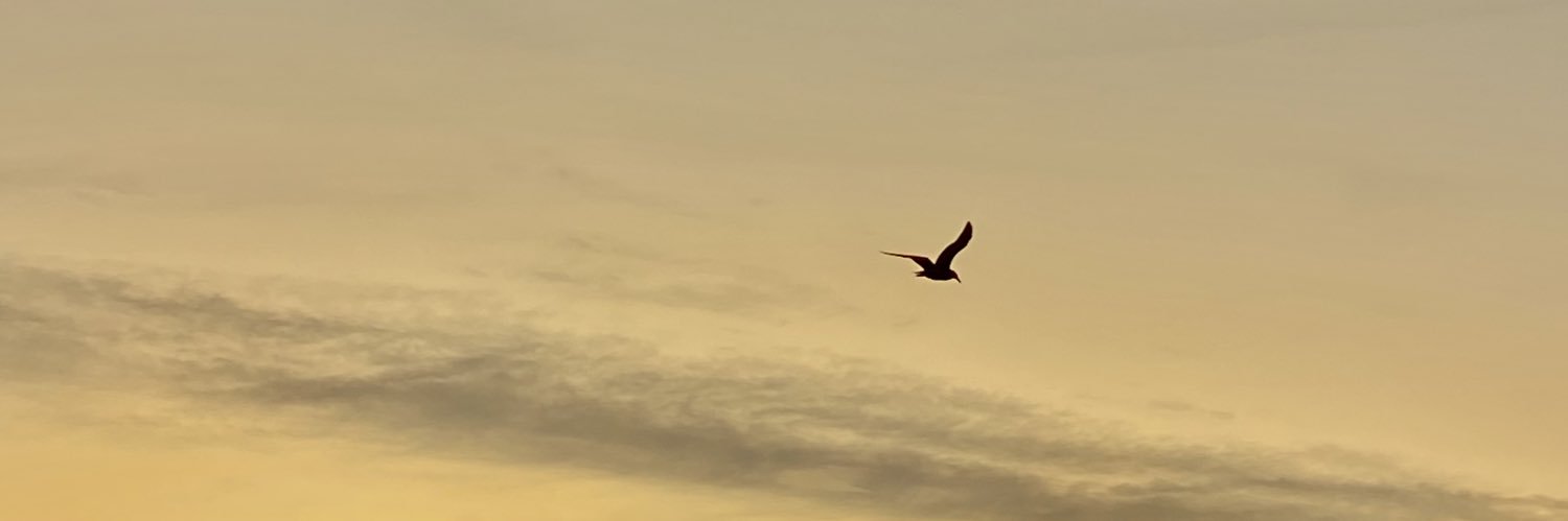 viccenzoooo's profile banner image