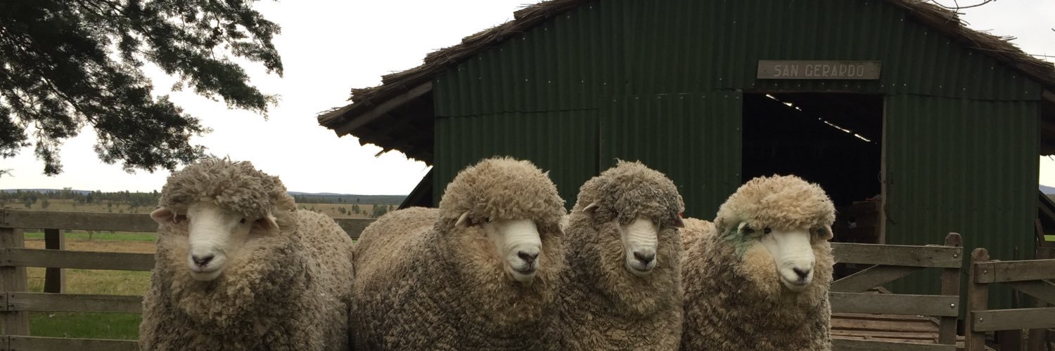 Gerardo Garcia Pintos banner