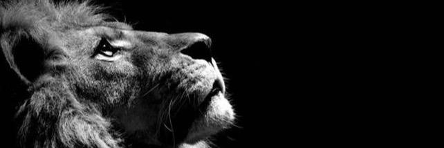 DaHammer68's profile banner image