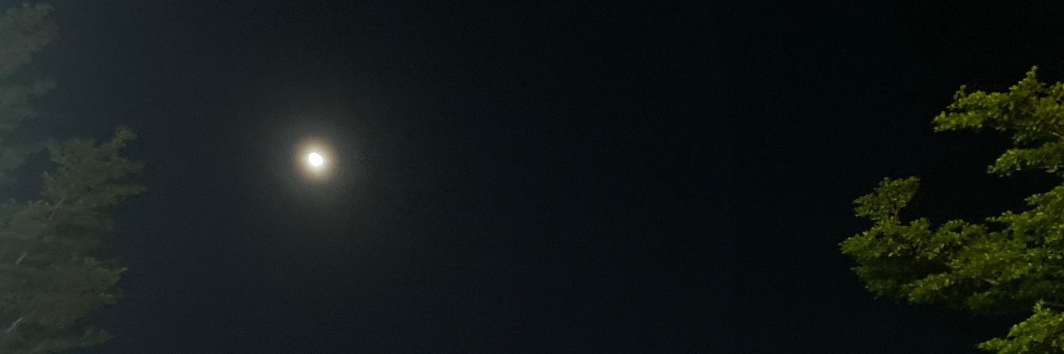sngchh's profile banner image