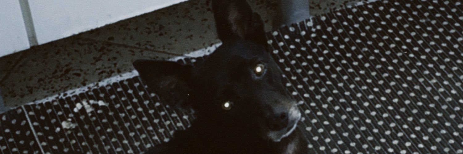 fcarlaaaa's profile banner image