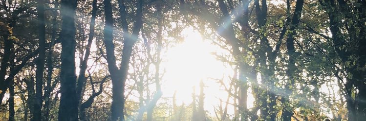 barnett1995's profile banner image