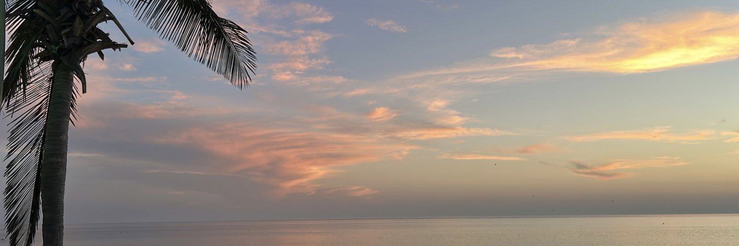 batoolGH's profile banner image