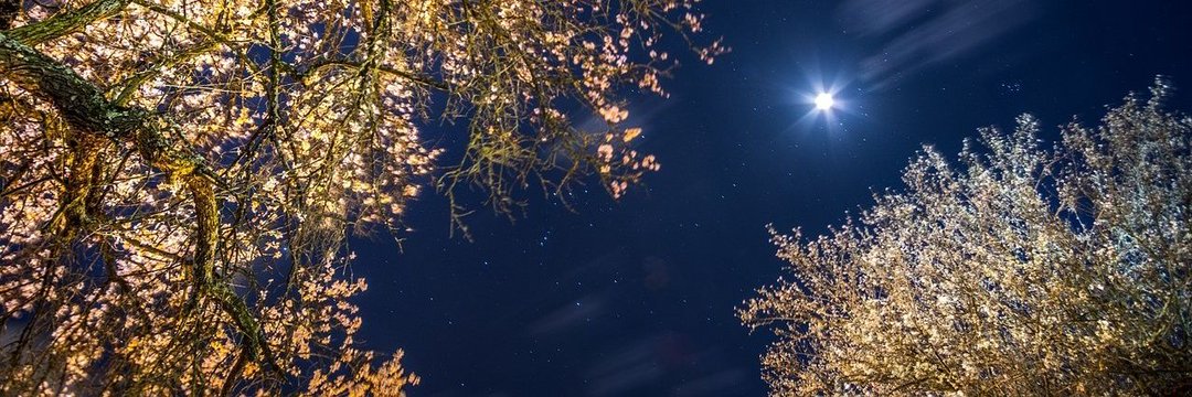 ⒽⒶⓀⒾⓂ banner