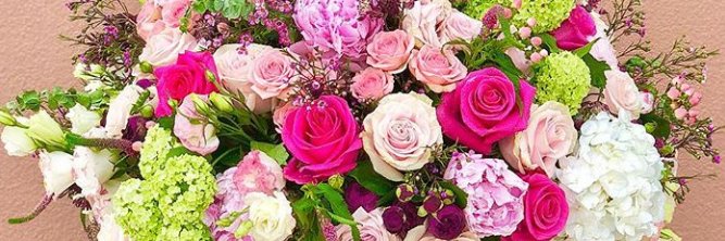 ann011274's profile banner image