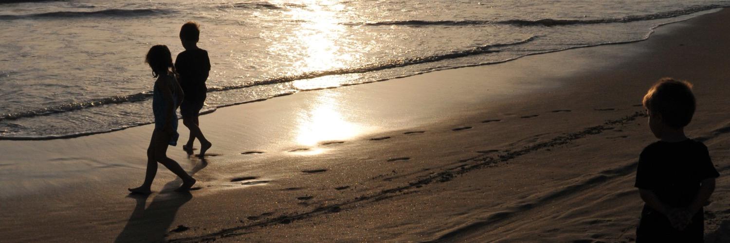 Tony Van den Zegel banner