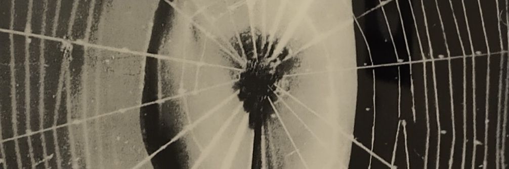 certasprincesaz's profile banner image