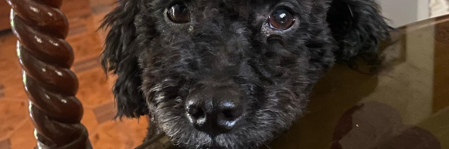 rmsjninne's profile banner image
