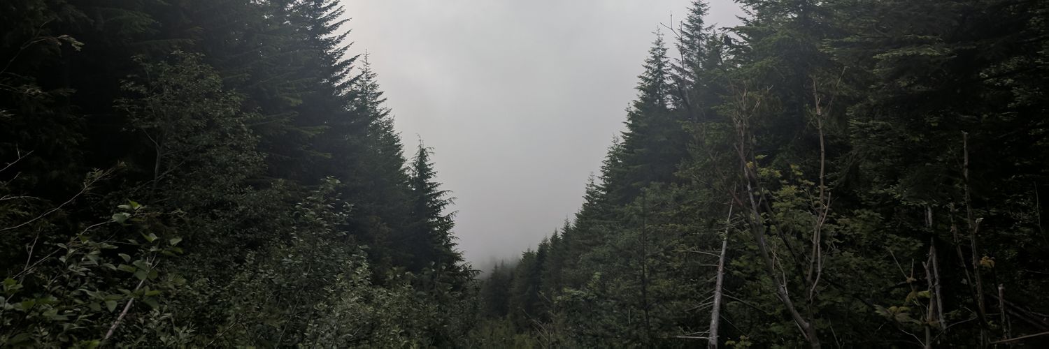 cltnwd's profile banner image