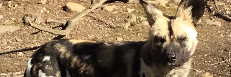 Pnelson5085's profile banner image