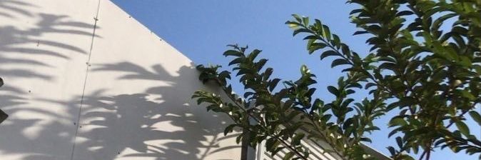 Bmel__'s profile banner image