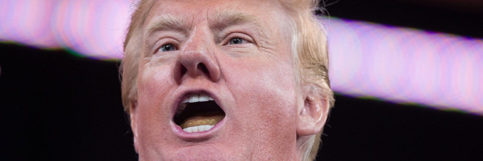 Trump4Prezident's profile banner image