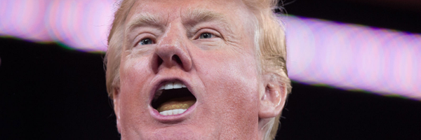 Trump4Prezident Profile Banner