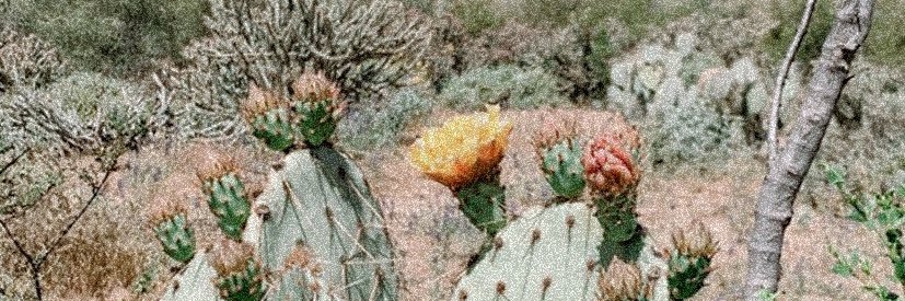 lexingtonj_'s profile banner image