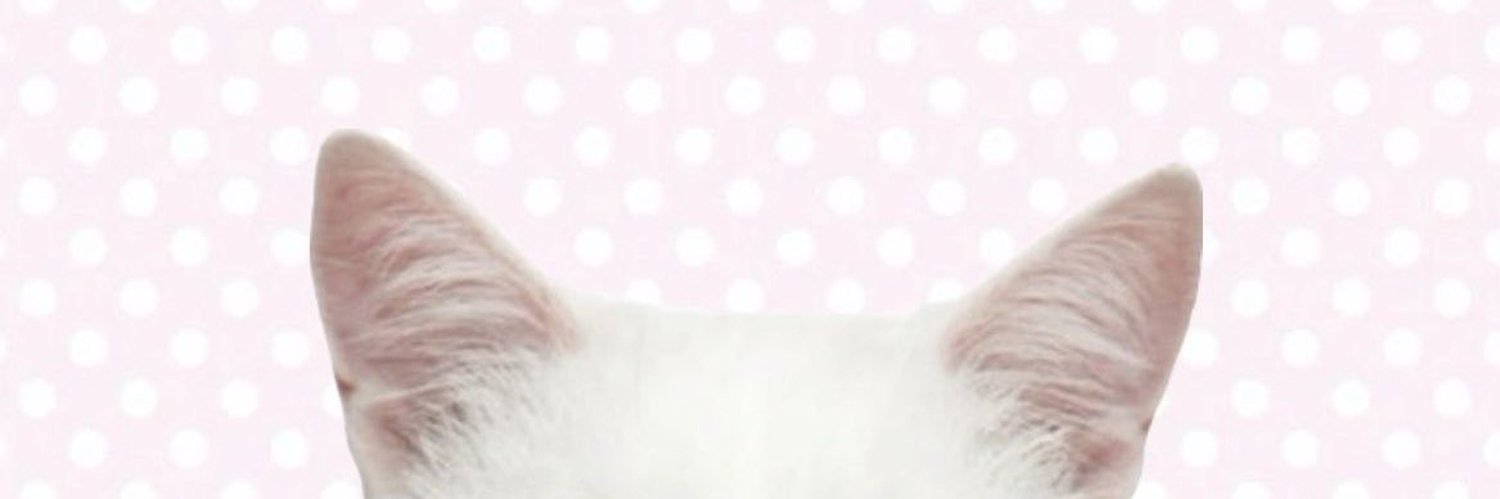 mdl0ver's profile banner image