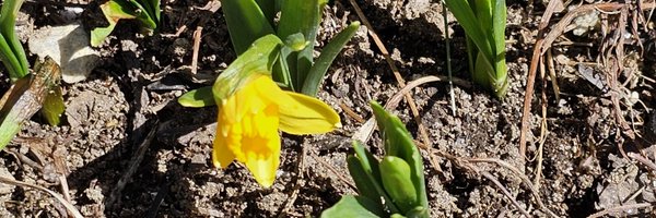 J_Scott1990 Profile Banner