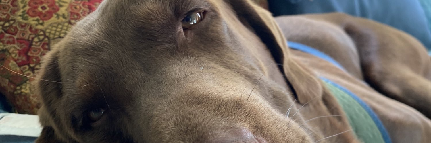 tpgcandace's profile banner image