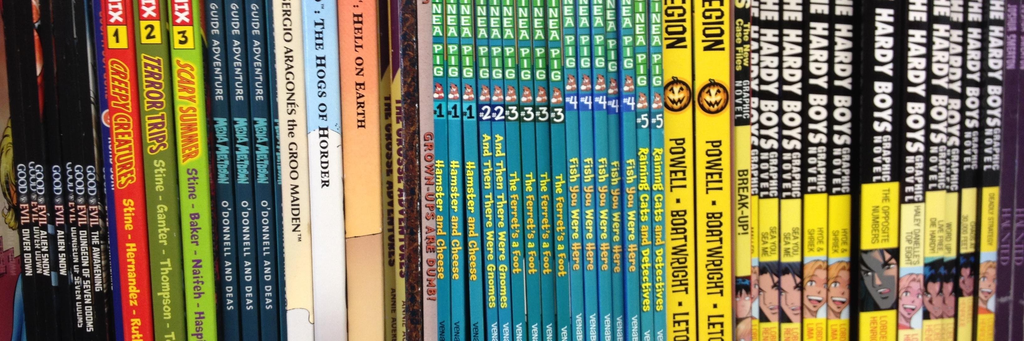 Libraries@Beguiling banner