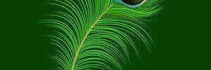 sanjaypaithank1's profile banner image