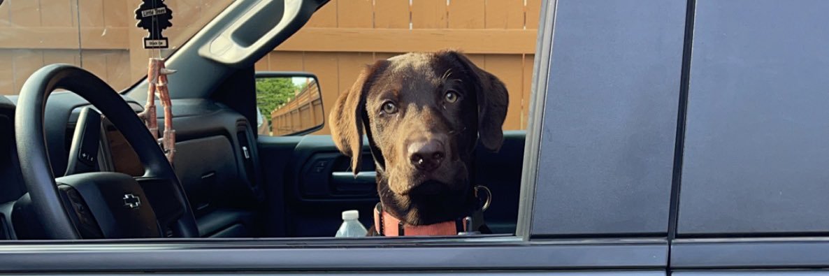 LoganSnyder20's profile banner image