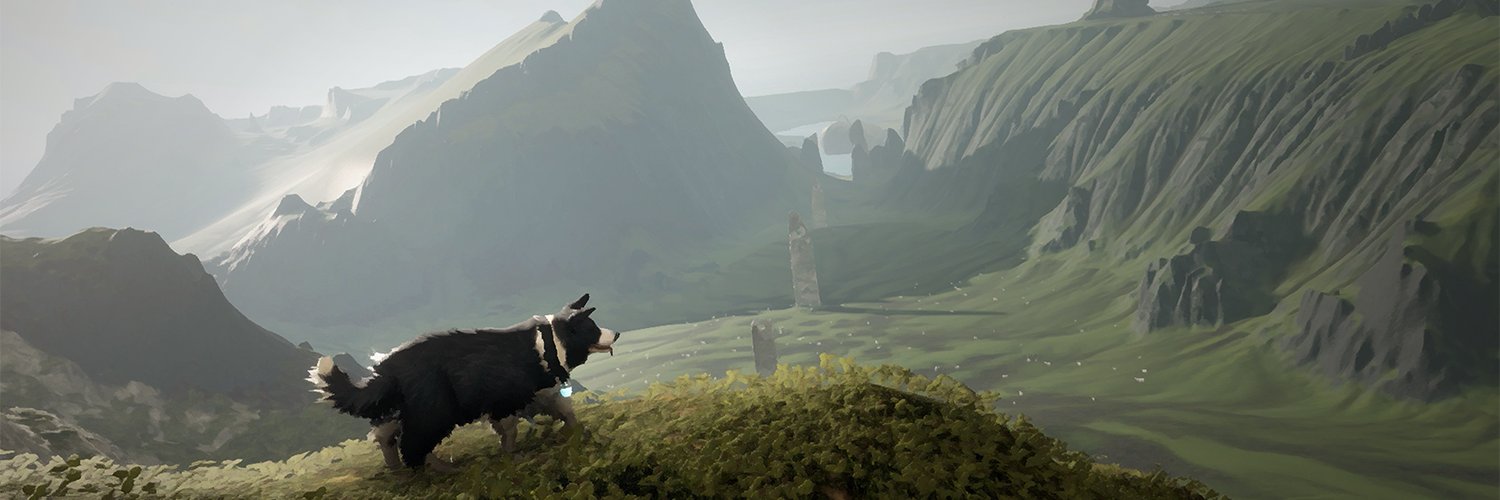 Frame Interactive banner