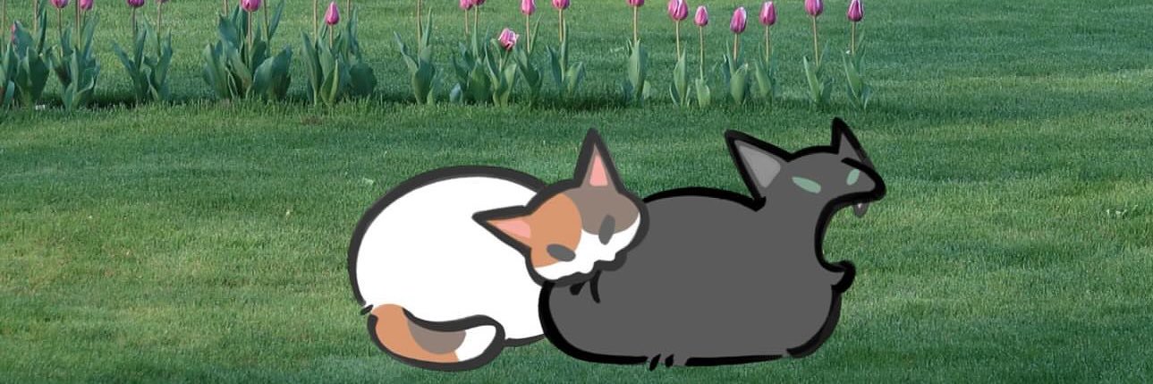 _moonlightbay__'s profile banner image