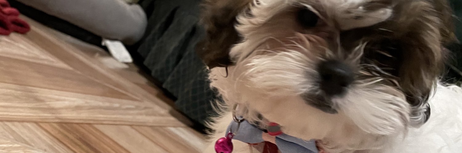 mr_donmd's profile banner image