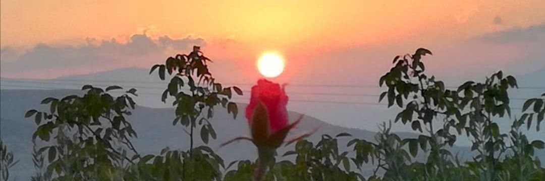 cafo46's profile banner image